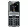 Beafon Fold10LTE_EU003B zilver
