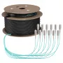 EFB Trunk-kabel U-DQ(ZN)BH OM3 12G (1x12) SC-SC 80m Dca LSZH
