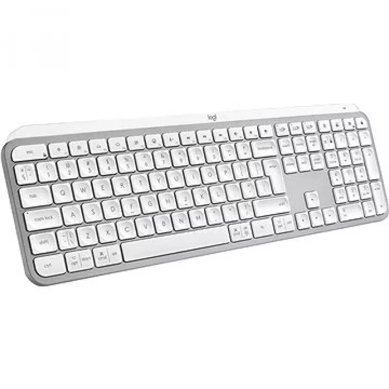 Logitech 920-011638 aluminium, wit