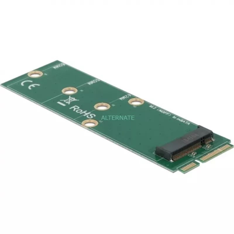 DeLOCK - interface-adapter - M.2 - M.2 Card - mSATA (64109)