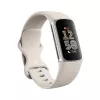 Fitbit GA05185-EU Product zilver