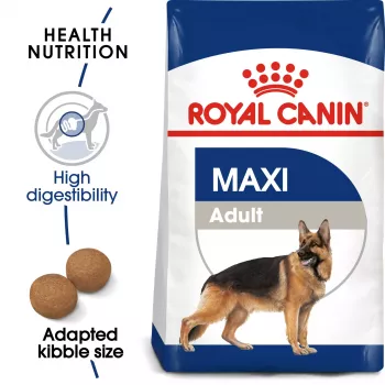 Royal Canin SHN Maxi Adult droogvoer voor honden, 4 kg