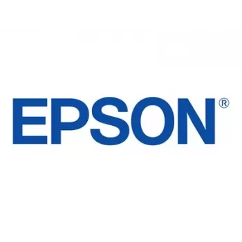 EPSON UltraChrome DG wit T725A00 600ml