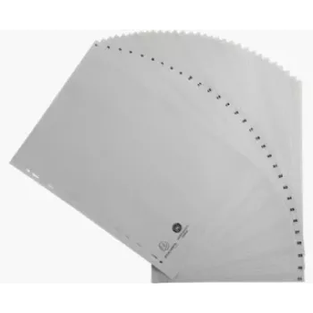 Exacompta 1931E Tabbladen 1-31, A4, polypropyleen, grijs