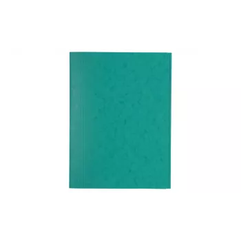 Exacompta 56415E reportmap A4 groen 200 vel 3 mm rug recyclingkarton