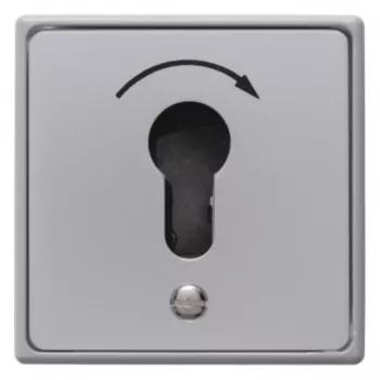 Hager WDE4450 sleutelschakelaar inbouw voor profiel-halve cilinder spuitgiet IP44 1 NO contact