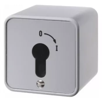Hager WDE4466 sleutelschakelaar, opbouwmontage, voor profiel-halve cilinder, spuitgietzink, IP54