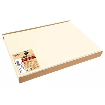 PROnappe Wegwerp placemat Spunbond 400 x 300 mm, ivoor, PP