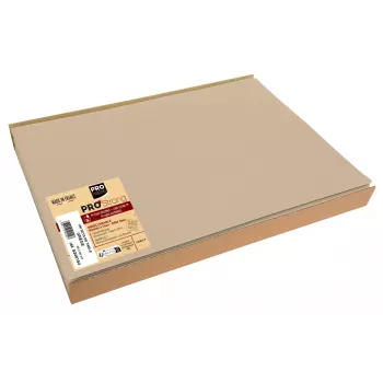 PROnappe 100 tafelplacemats beige 30 x 40 cm