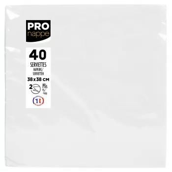 PROnappe witte papieren servetten 2-laags 19 x 19 cm 40-pack