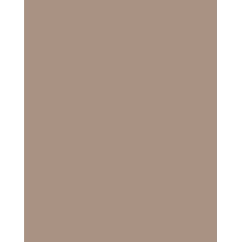 Folia 614/50 73 Cappuccino Solid A4 cardstock 300 g/m² 50 vel