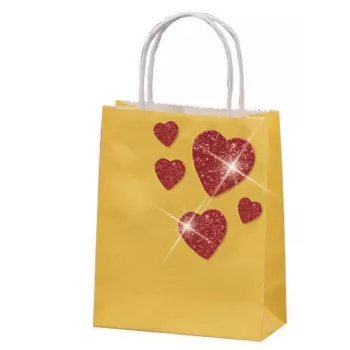 Folia Basic papieren zakjes S meerkleurig verpakking van 10