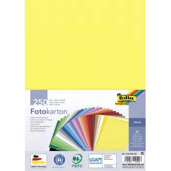 Folia Fotokarton gemengde kleuren 300 g/m² 250 vel A4 fotokarton