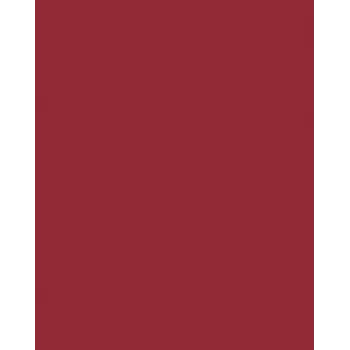 Folia 614/50 22 - Rood - Uni - A4 (210 x 297 mm) - 300 g/m² - 50 vel - Duitsland