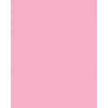Folia 614/50 26 - Roze - Effen - A4 (210 x 297 mm) - 300 g/m² - 50 vel - Duitsland
