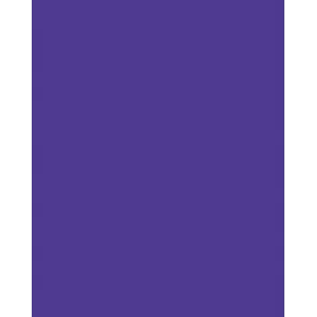 Folia 614/50 32 - Violet - Unikleur - A4 (210 x 297 mm) - 300 g/m² - 50 vel - Duitsland