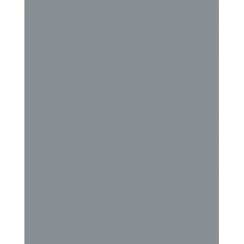 Folia 614/50 84 - Grijs - Uni - A4 (210 x 297 mm) - 300 g/m² - 50 vel - Duitsland