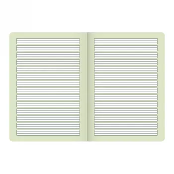 BRUNNEN Vivendi schoolschrift A4 Lineatur 1 gelinieerd met rondlopende kantlijn, 16 vellen, 1e klas