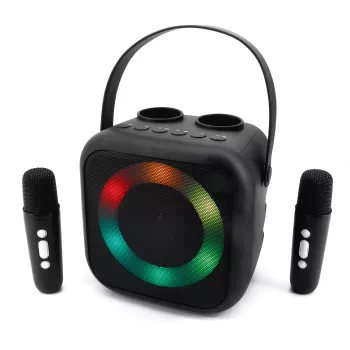Soundmaster BT2024SW Bluetooth-luidspreker, discolicht, 2 microfoons, zwart