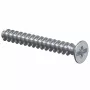 Kaiser Elektro 2472-25 Apparaatschroef 3,2 x 25 mm, verzinkt