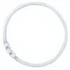OSRAM LUMILUX T5 FC ringvormige fluorescentielamp 55W 865 daglicht 2GX13