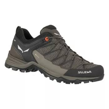 Salewa Mountain Trainer Lite GTX wandelschoenen