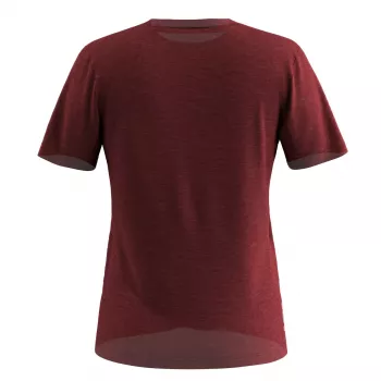Dames Shirt Salewa Eagle Eitd AM T-shirt