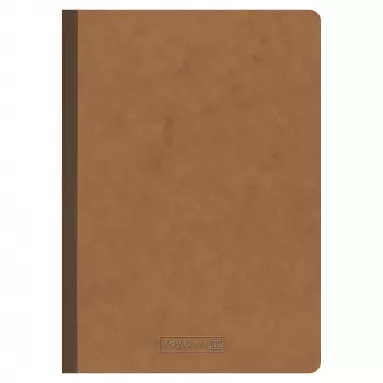BRUNNEN FACT!plus notitieboek A5 gestippeld 96 blad bruin
