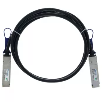 BlueOptics Ruckus 100G-QSFP-QSFP-P-0101 Compatibele BlueLAN DAC QSFP28-kabel - 1m