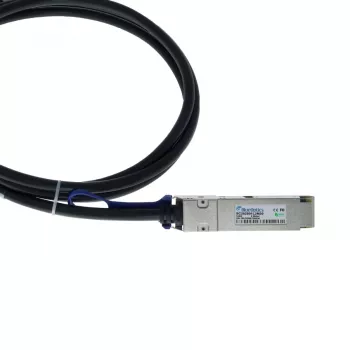 BlueOptics Ruckus 100G-QSFP-QSFP-P-0201 Compatibele BlueLAN DAC QSFP28-kabel 2m zwart