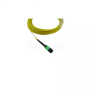 BlueOptics Cisco CB-M12-M12-SMF20M MPO naar MPO singlemode glasvezel patchkabel, 20 m, G.657.A1, APC, 12 vezels, geel