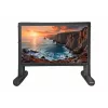 Celexon Inflatable Outdoor Projection Screen Professional INF 100, 100 inch 16:9, zichtbaar oppervlak 222 x 125 cm, 4K-UHD compatibel