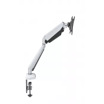 Rockstable RS-MM010W professional single monitor steun - bureausteun/doorvoer - 8 kg - 15-32 inch - 100x100 mm - wit