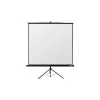 Reflecta Crystal-Line Tripod 240x240 cm projectiescherm mat wit