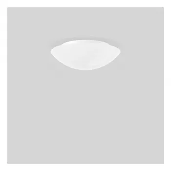 RZB 211059.002 opaalglaslamp 2x60W zijdeglans D=370mm