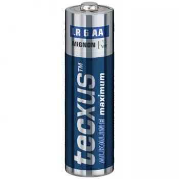 TECXUS Mignon AA standaardbatterijen alkaline LR6 1,5V