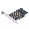 ORICO PDM2 PCIe 3.0 x4 M.2 NVMe & SATA SSD adapterkaart - zwart