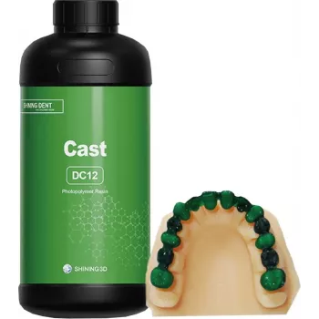SHINING 3D DC12 dentale gietshars 1kg