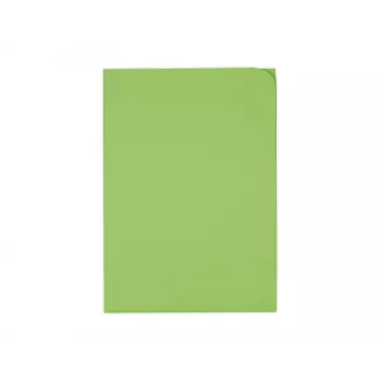 ELCO Ordo Discreta organisatiemap A4, 220 x 310 mm, 120 g/m², intensiefgroen, 100 stuks (29466.62)