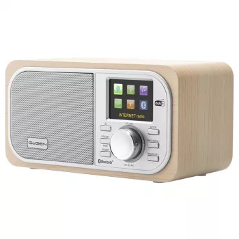 GOGEN IR237BTDAB internetradio met DAB+, FM, Bluetooth, Wi-Fi en 2,4 inch kleuren-LCD-display