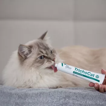 VETEXPERT TrichoCat Anti-Hairball Pasta voor katten 120 g