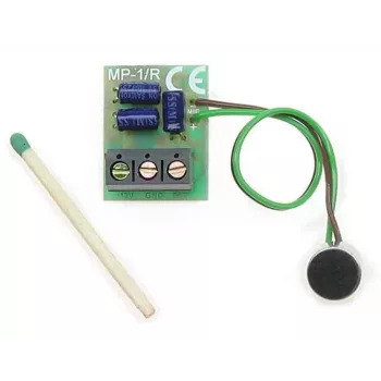 DELTA MP-1/R audiopreamplifiermodule met toonregeling
