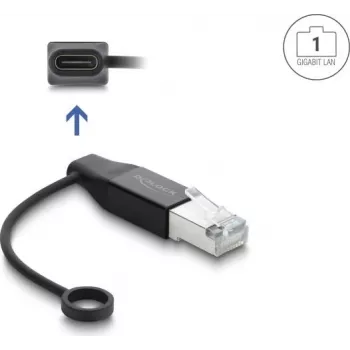 Delock USB Type-C netwerkadapter Gigabit LAN 1 x RJ45 stekker