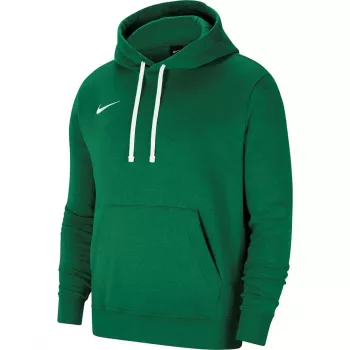 Nike Team Club 20 heren hoodie Pine Green/wit