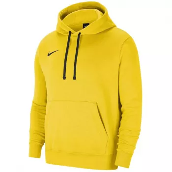 Nike Park 20 hoodie University Gold/zwart CW6957 719