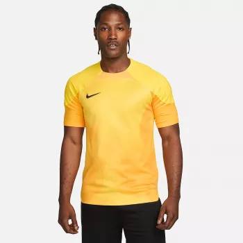 Nike Dri-FIT ADV Gardien IV herenkeeperstruitje Opti Yellow/zwart M