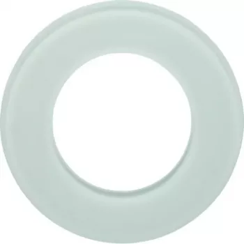 Hager WTD7180GWG 1-voudig glazen frame, Serie Glas, Poolwit