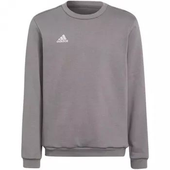 adidas Entrada 22 Sweat Top Kinderen Grijs Sweatshirt H57477 (116 cm)