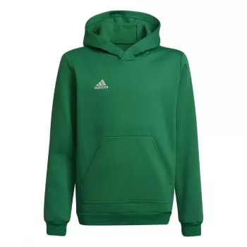 adidas Entrada 22 hoody kinderen sweatshirt groen 116cm