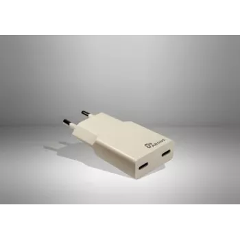 Inter-Tech Argus PD-2136 2x USB-C slanke wandlader, 36W